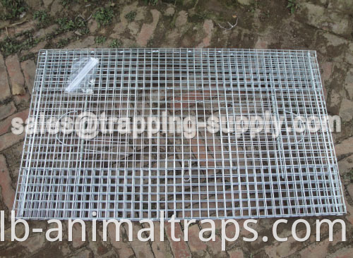 Double Door Galvanized Pigeon Cage Trap